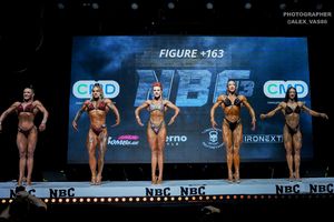 FIGURE +163